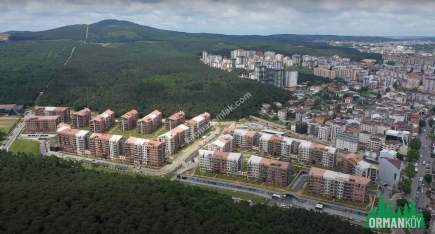 Dap Ormanköy Çok İyi Konumda Teraslı Yola Cephe Mağaza 4