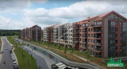 Dap Ormanköy Çok İyi Konumda Teraslı Yola Cephe Mağaza 3