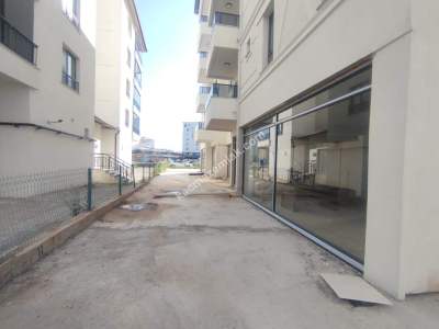 Sivas Merkez Üniversite Bölgesi Kiralık Dükkan 2