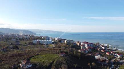 Trabzon Arsin Organize Sanayisinde Kiralık Fabrika 21