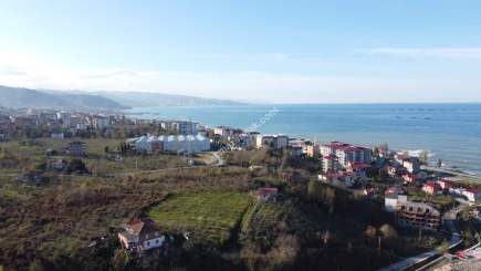 Trabzon Arsin Organize Sanayisinde Kiralık Fabrika 30