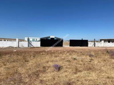 Sungurlu Kavşut' Da Satılık 980 Başlık Besi Çiftliği 4