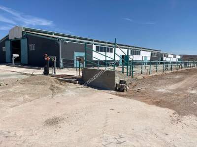 Sungurlu Kavşut' Da Satılık 980 Başlık Besi Çiftliği 15