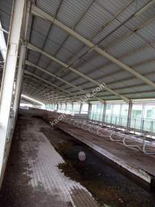 Karaman'da Satılık Besi Çiftliği(Toplam Alan 557,158M2 33