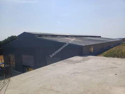 Kırklareli Lüleburgaz Celaliye'de Satılık Çiflik 5