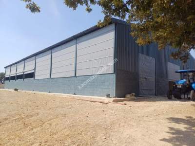 Kırklareli Lüleburgaz Celaliye'de Satılık Çiflik 1