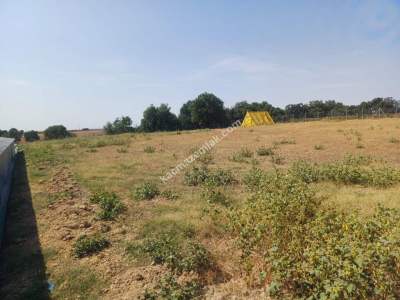 Kırklareli Lüleburgaz Celaliye'de Satılık Çiflik 7