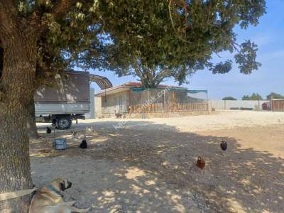 Kırklareli Lüleburgaz Celaliye'de Satılık Çiflik 3