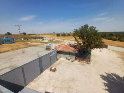 Kırklareli Lüleburgaz Celaliye'de Satılık Çiflik 9