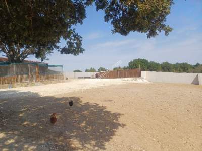 Kırklareli Lüleburgaz Celaliye'de Satılık Çiflik 4