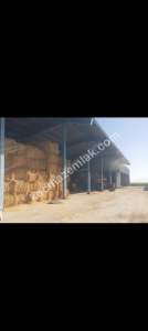 Konya Ereğli Yeniköyde Satılık Besi Ve Süt Çiftliği 17