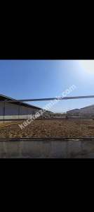 Konya Ereğli Yeniköyde Satılık Besi Ve Süt Çiftliği 6