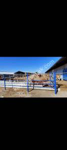 Konya Ereğli Yeniköyde Satılık Besi Ve Süt Çiftliği 12