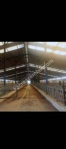 Konya Ereğli Yeniköyde Satılık Besi Ve Süt Çiftliği 5