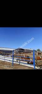 Konya Ereğli Yeniköyde Satılık Besi Ve Süt Çiftliği 15