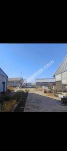 Konya Ereğli Yeniköyde Satılık Besi Ve Süt Çiftliği 20