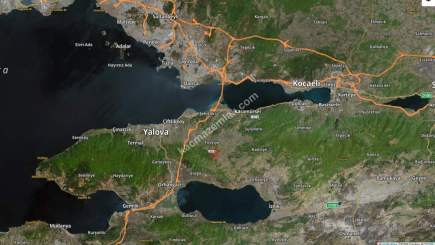 Acil Satılık Arsa, Bina, Besi-Tarım Çiftliği Kompleksi 12