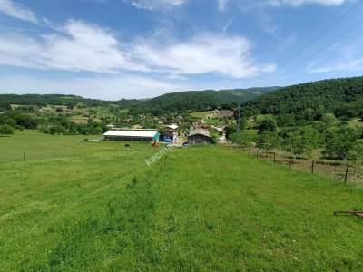 Acil Satılık Arsa, Bina, Besi-Tarım Çiftliği Kompleksi 7