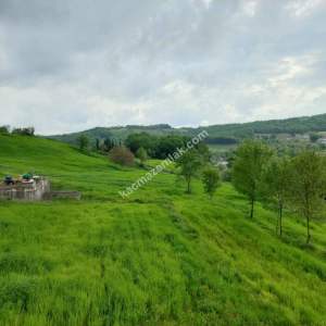 Acil Satılık Arsa, Bina, Besi-Tarım Çiftliği Kompleksi 4