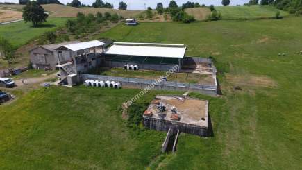 Acil Satılık Arsa, Bina, Besi-Tarım Çiftliği Kompleksi 2
