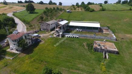Acil Satılık Arsa, Bina, Besi-Tarım Çiftliği Kompleksi 1