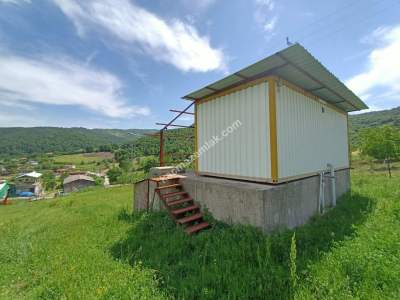 Acil Satılık Arsa, Bina, Besi-Tarım Çiftliği Kompleksi 6