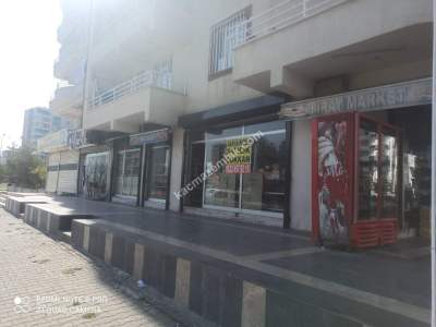 Diyarbakır Gaziler'de Satılık 2 Adet Dükkan 3
