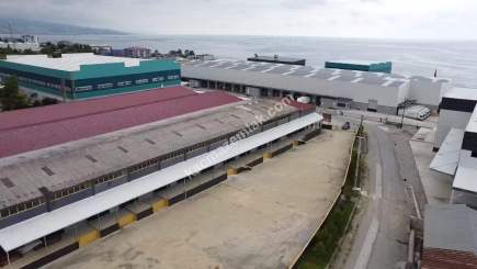 Trabzon Arsin Organize Sanayi Bölgesi Satılık Fabrika 13