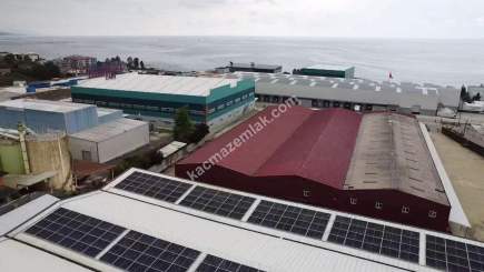 Trabzon Arsin Organize Sanayi Bölgesi Satılık Fabrika 16