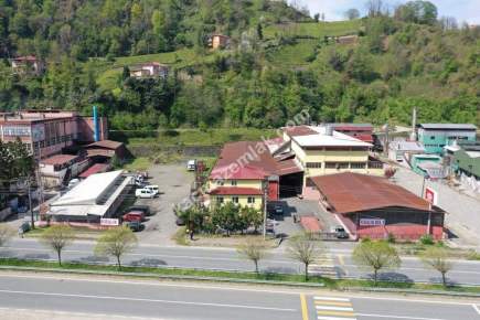 Trabzon Of Da Satılık Çay Fabrika 6