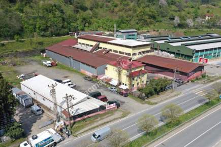 Trabzon Of Da Satılık Çay Fabrika 2