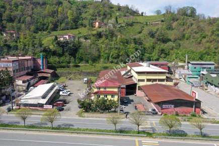 Trabzon Of Da Satılık Çay Fabrika 7