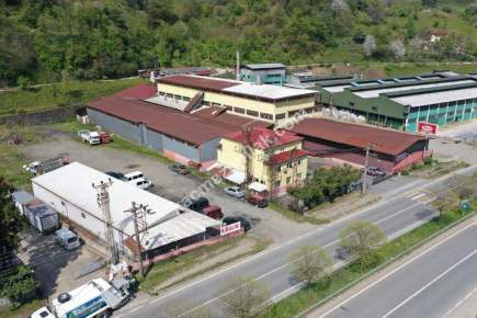 Trabzon Of Da Satılık Çay Fabrika 10