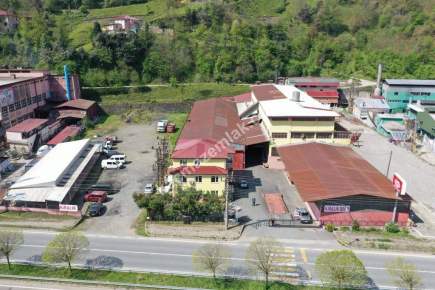 Trabzon Of Da Satılık Çay Fabrika 11
