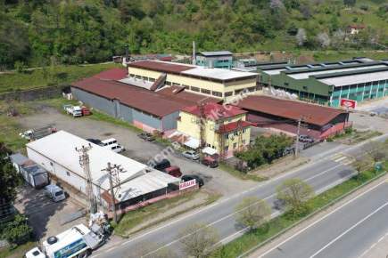 Trabzon Of Da Satılık Çay Fabrika 14