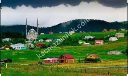 Trabzon Hackalıbaba Yaylasında Satılık Otel 1