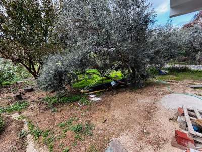 Manavgat Evrenseki'de Kiralık 1+1 Ler 6