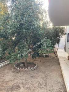 Manavgat Mimarsinan'da Müstakil Tadında 2+1 Kiralık 15