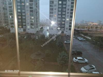 Diyarbakır Yenişehirde Site İçi 3+1 Kiralık Daire 12