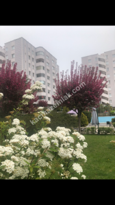 Çekmeköy Mimarsinan Mah. 3+1 Full Eşyalı Kiralık Daire 4