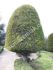 Çamlıca Konaklarında, 4+1 Kiralık Daire 22