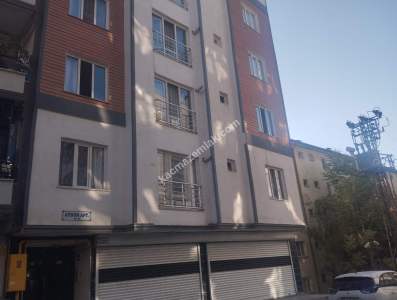 Siirt Bahçelievler Polis Amca Yanı Kiralık 1+1 Daire 3