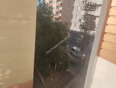 Siirt Bahçelievler Polis Amca Yanı Kiralık 1+1 Daire 9