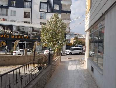 Siirt Gençlik Merkezi Yanı Kiralık 2+ 1 Daire 7