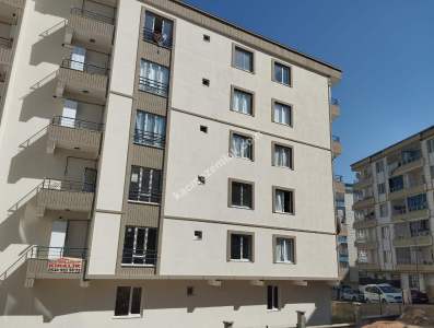 Siirt Kooperatif Mah. Uzun Park Yanı Kiralık 1+1 Daire 2