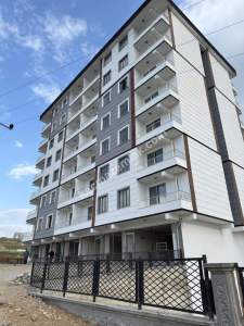 Siirt Merkezde Kiralık 1+1 Daire 4