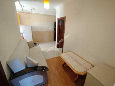 Sivas Kiralık Daireler- Kardeşler Mah. Eşyalı 1+1 40