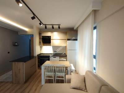 Sivas Kiralık Daire Kardeşler Mah. Eşyalı 1+1 11