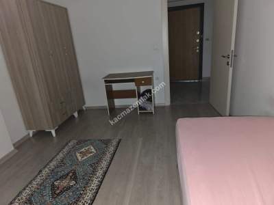 Üniversiteye Yakın 1+1 Full Eşyalı Kiralık Daire 12