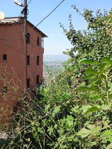 Çamlıtarlada Kiralık Müstakil Ev 2